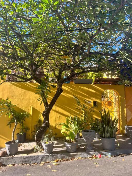 Quartos Na Casa Amarela السلفادور المظهر الخارجي الصورة